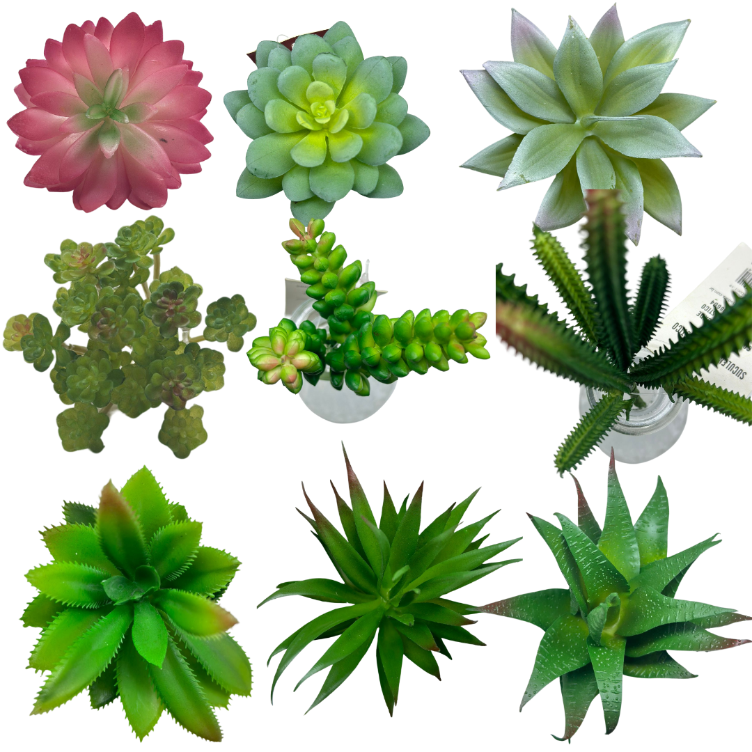 ae15d1ece8e8d41d3befe4331517cce3.png